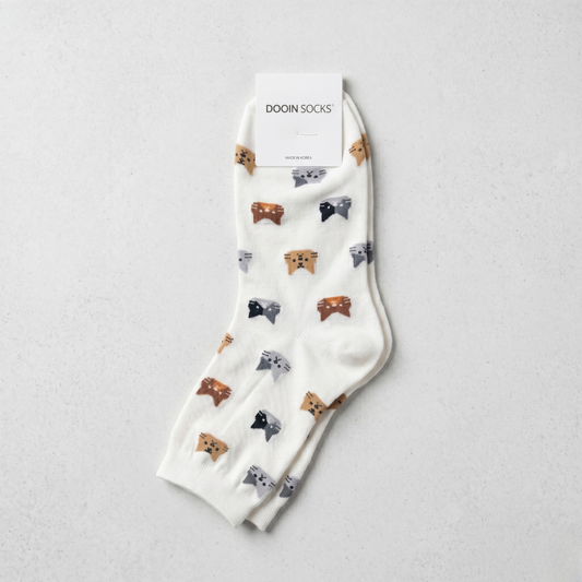 고양이 M 아이보리(K-SOCKS Cat IVORY)
